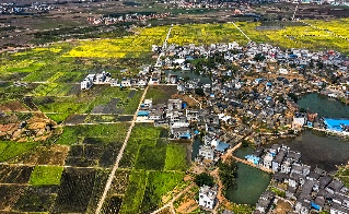 2025年“广西地名文化遗产千年古县、千年古镇、千年古村落”名单发布