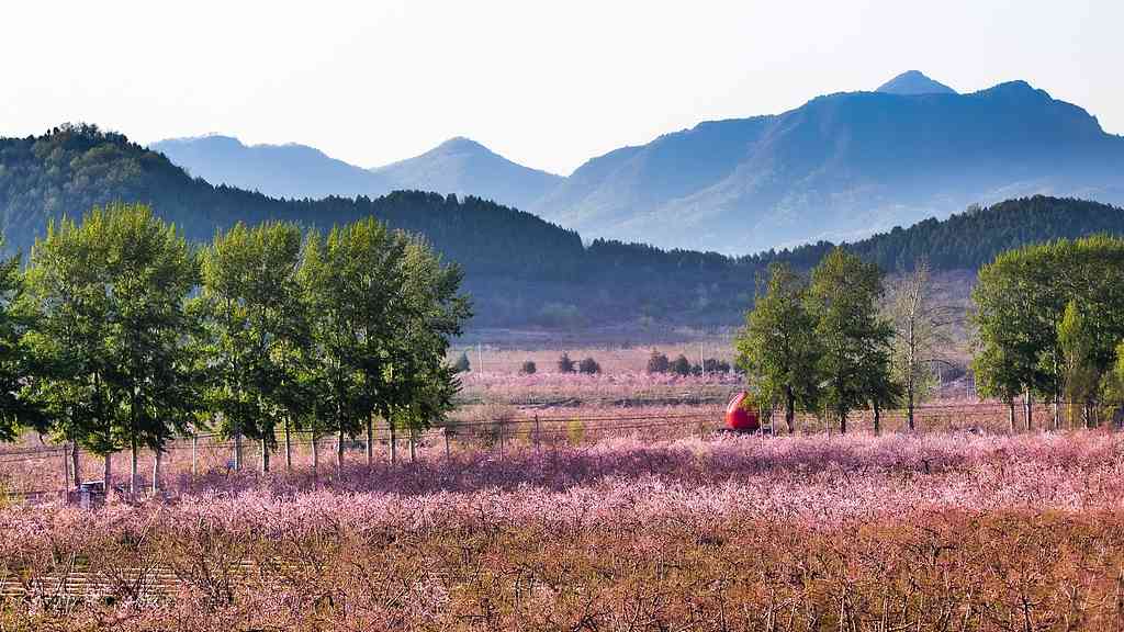 现代艺术与古老村庄的相拥――艺术乡建中的青年人