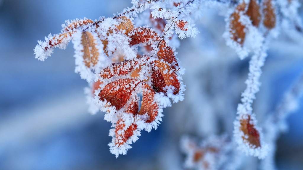 光明文化周末：立冬