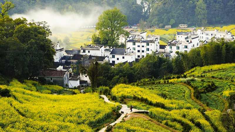 植入新玩法营造慢生活 乡村文旅业态版图更大