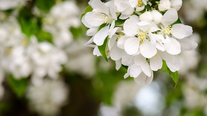 “微度假”走热 成假日消费新时尚