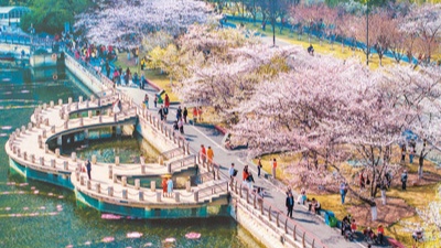 各地纷纷推进春日经济――不负好春光 深度游一场