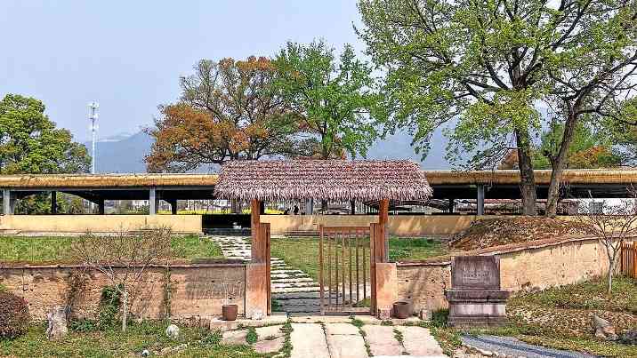 从“六大”到“十大”，“双入选”项目背后的文化密码