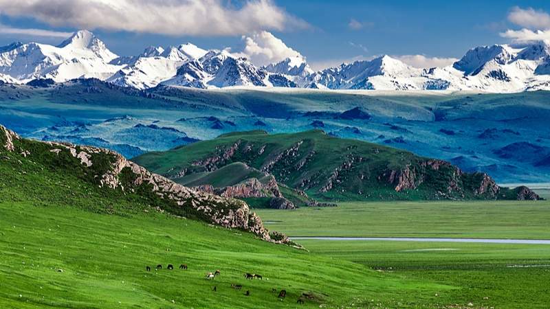 China Travel热度不减！新疆成境外游客热门选择