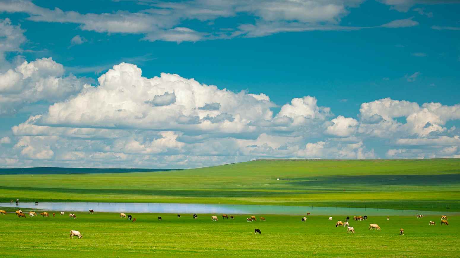 内蒙古发布新一批自治区级旅游品牌